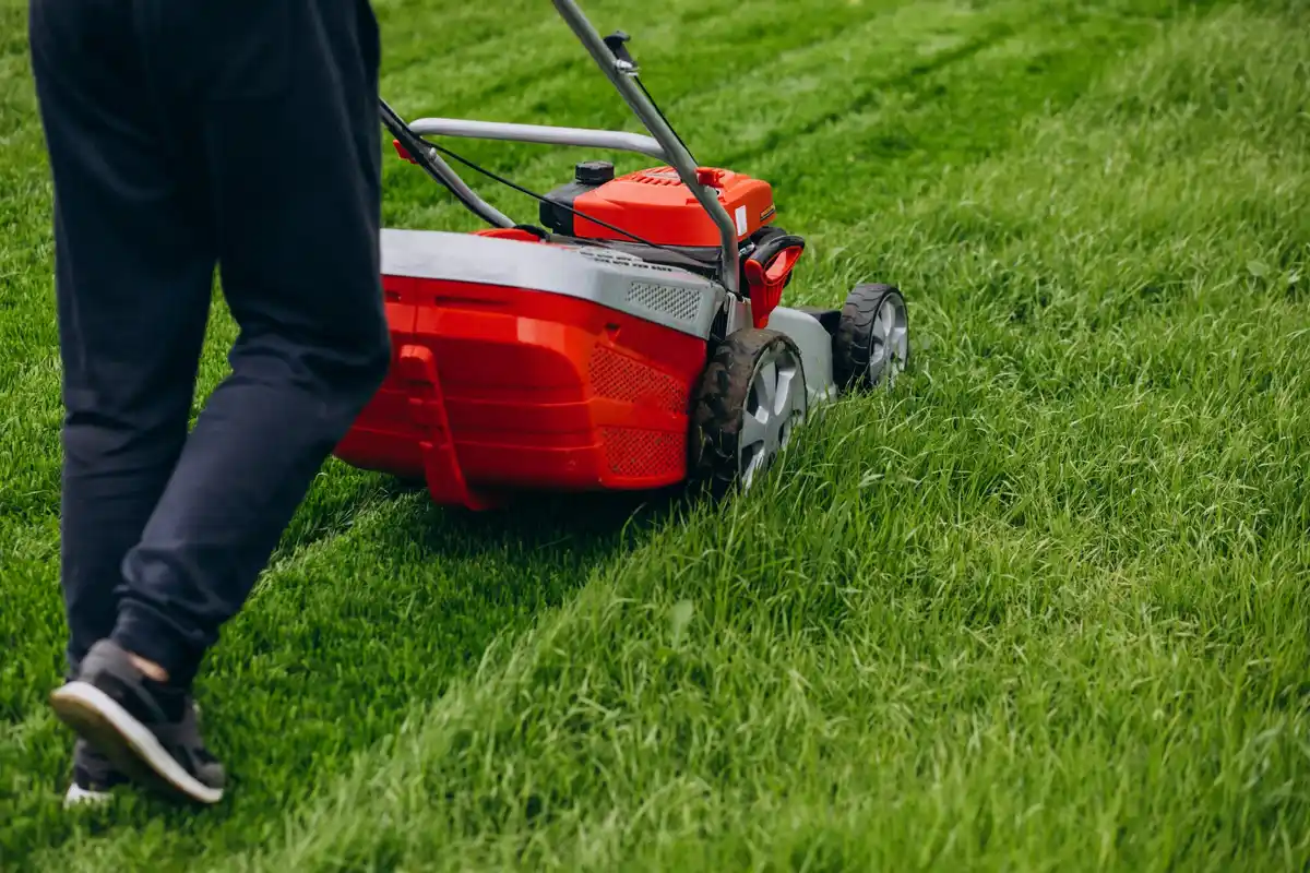 garden tools battery powered lawn mower leaf blower