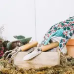 decorative flower bed garden beginner