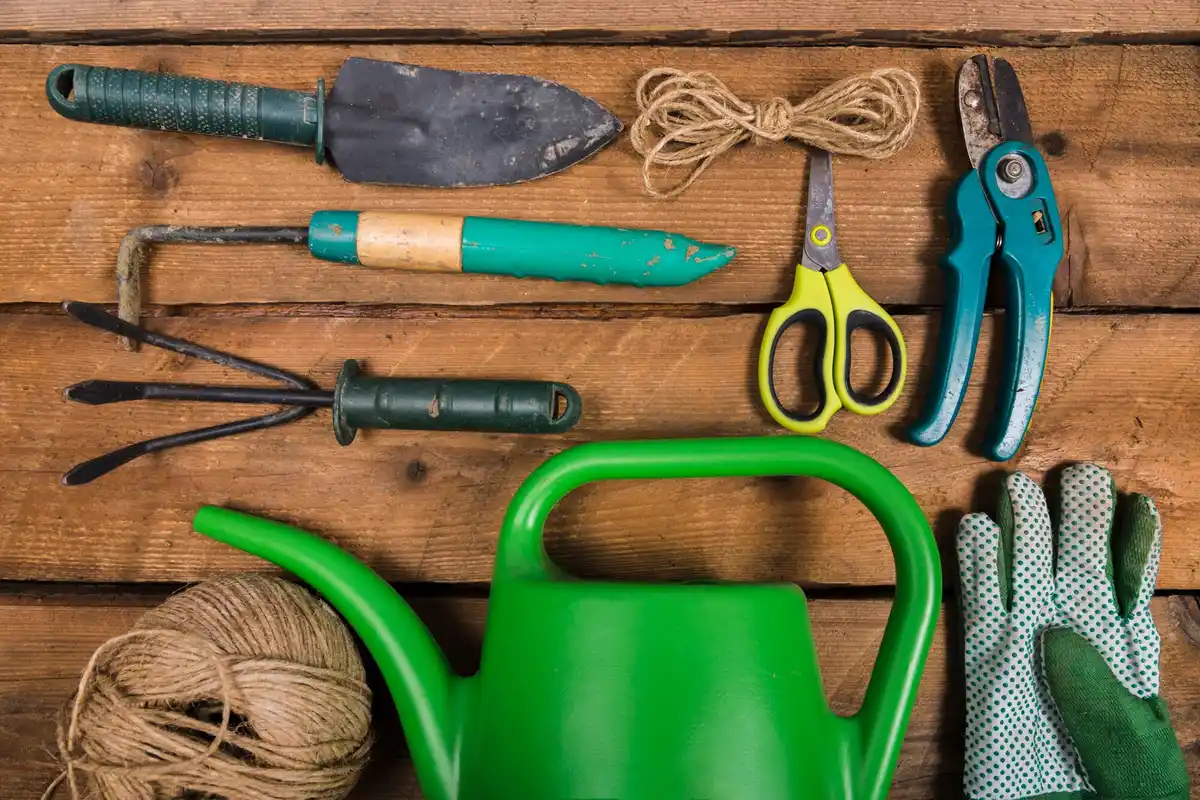 garden tools Czech backyard
