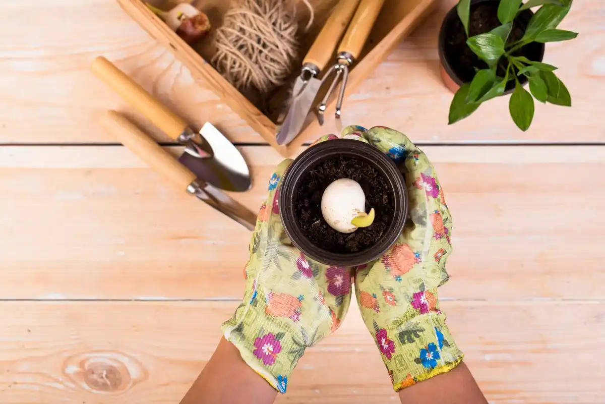 quality garden tools gardening
