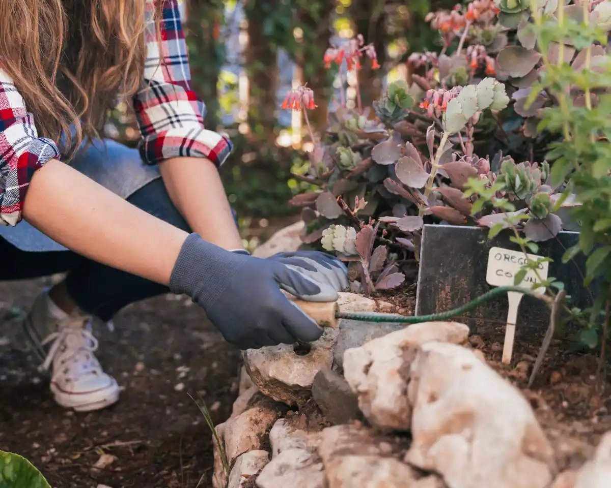 organic gardening home vegetable garden