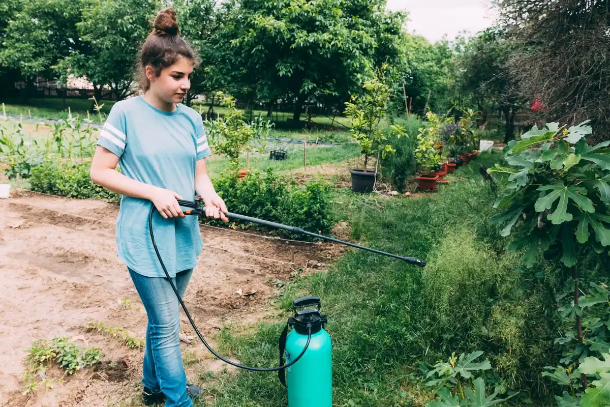 organic home garden vegetables pest control