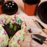 organic home gardening soil health