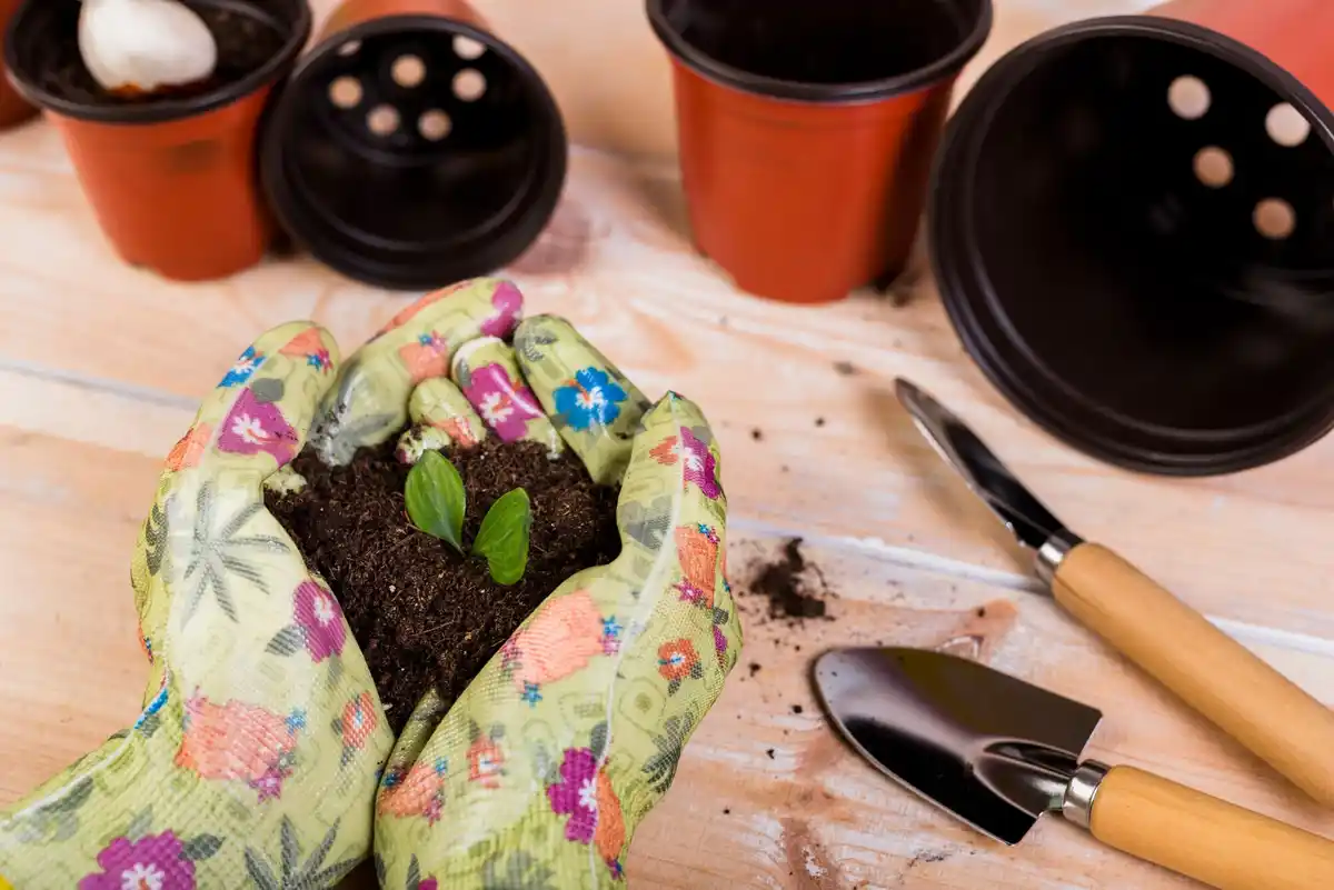 organic home gardening soil health