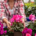 balkon flowering plants beginner garden