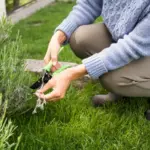 garden common mistakes fixing