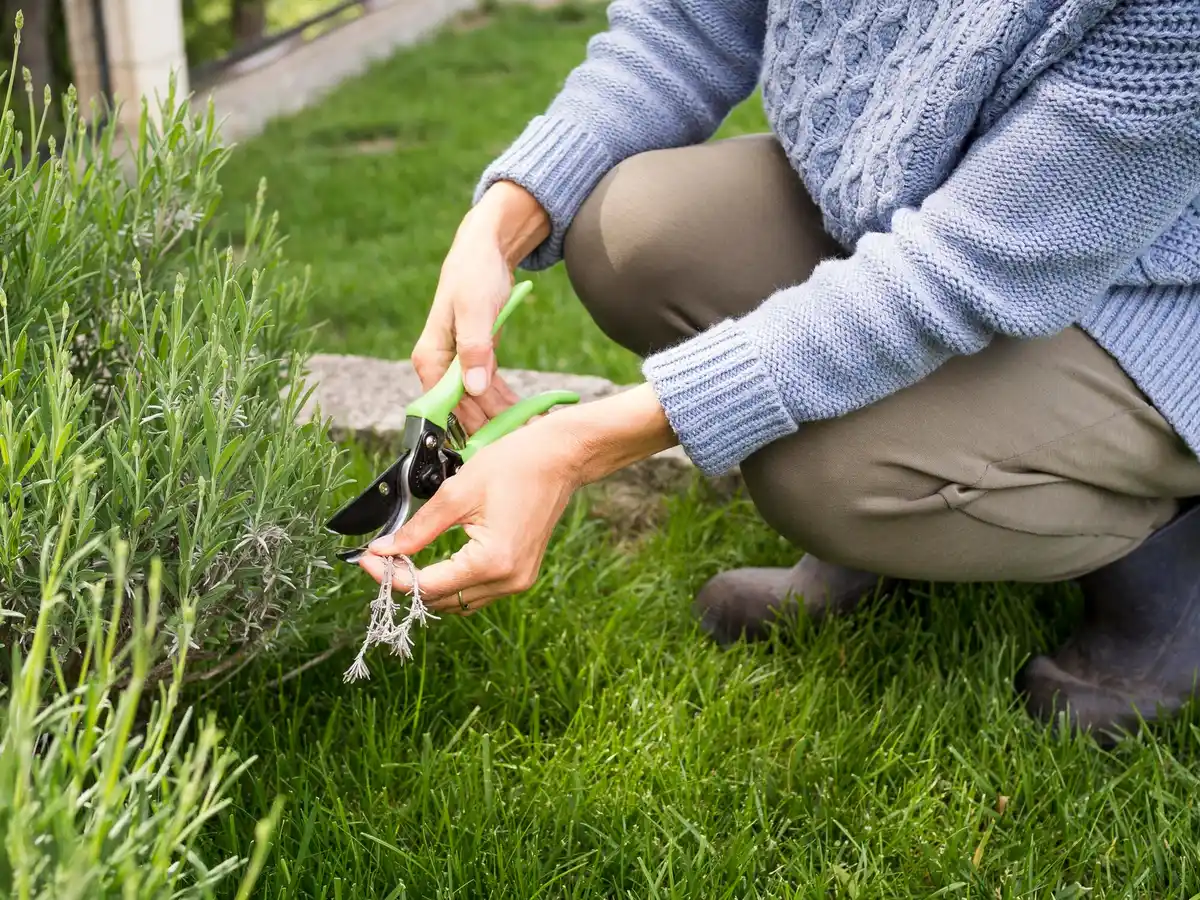 garden common mistakes fixing