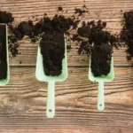 organic farming home garden compost soil