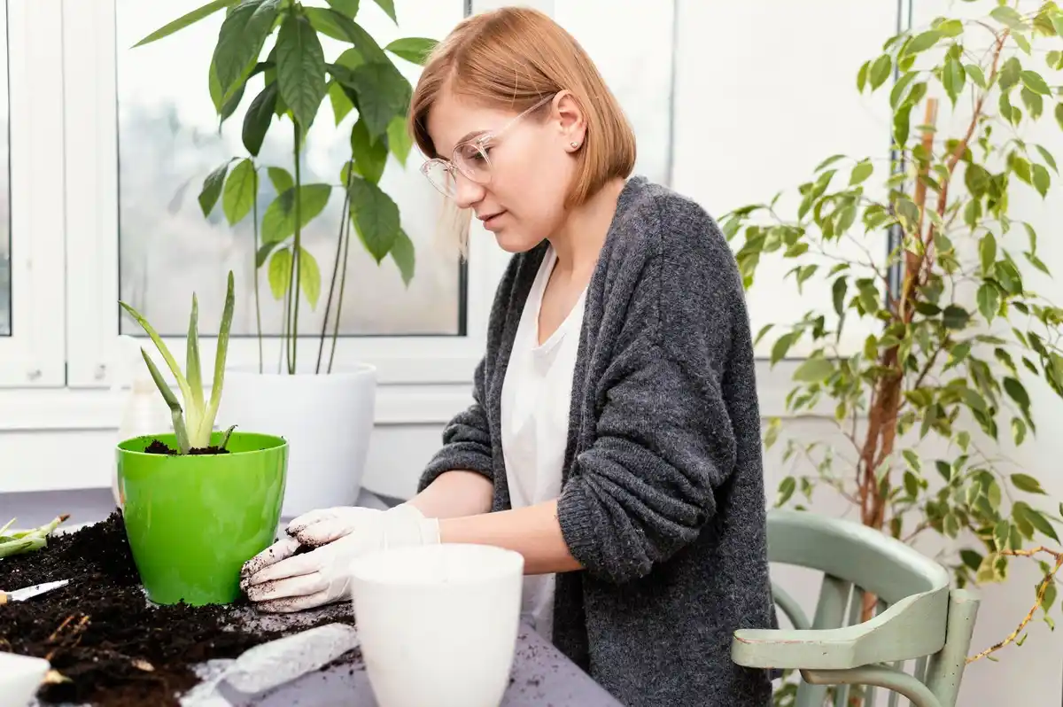 balkon plants watering mistakes