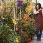 urban balcony garden care mistakes