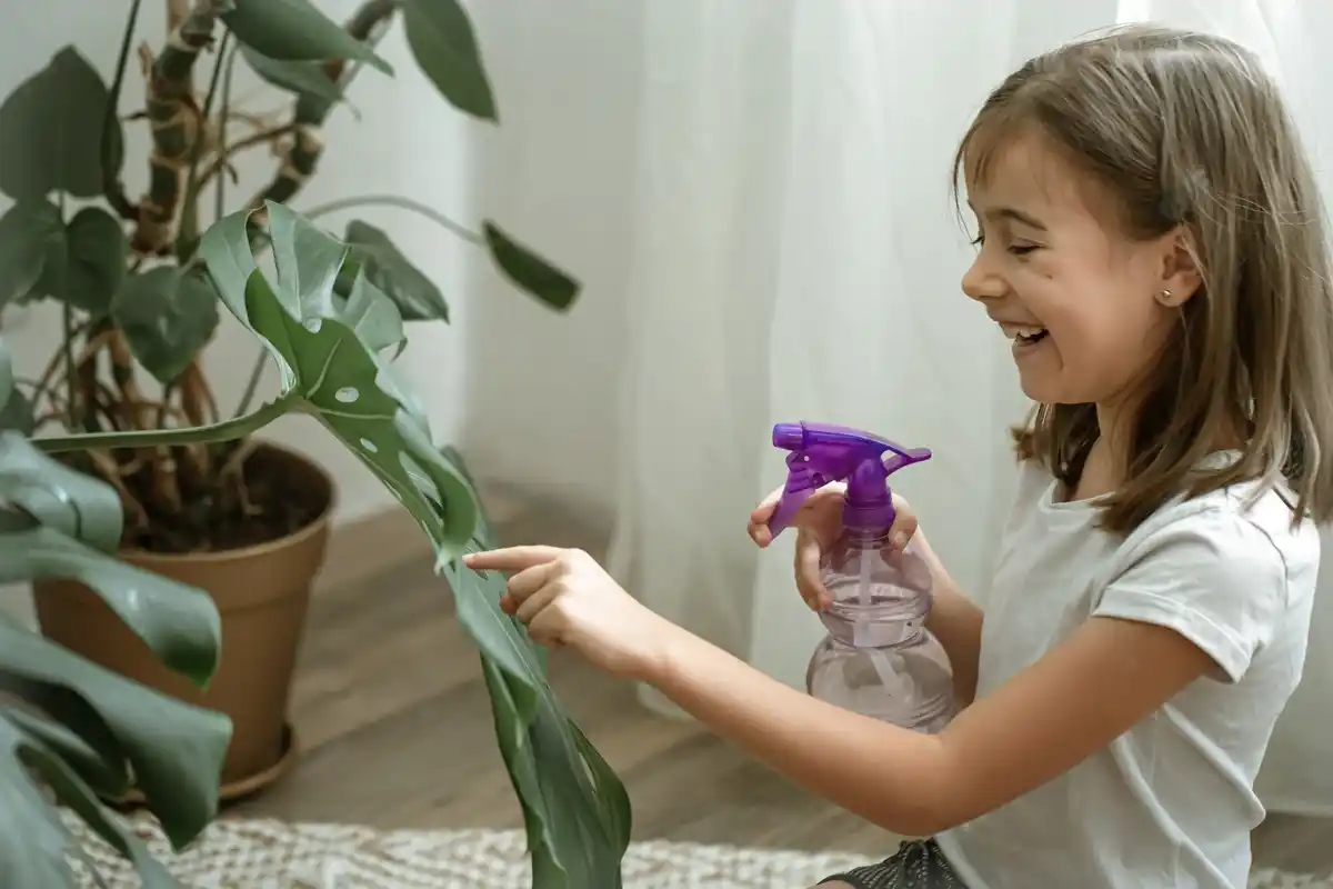 houseplants care light water ventilation fertilizer pests