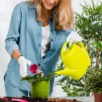 indoor flowering plants care