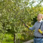 garden pest control organic Czech Republic