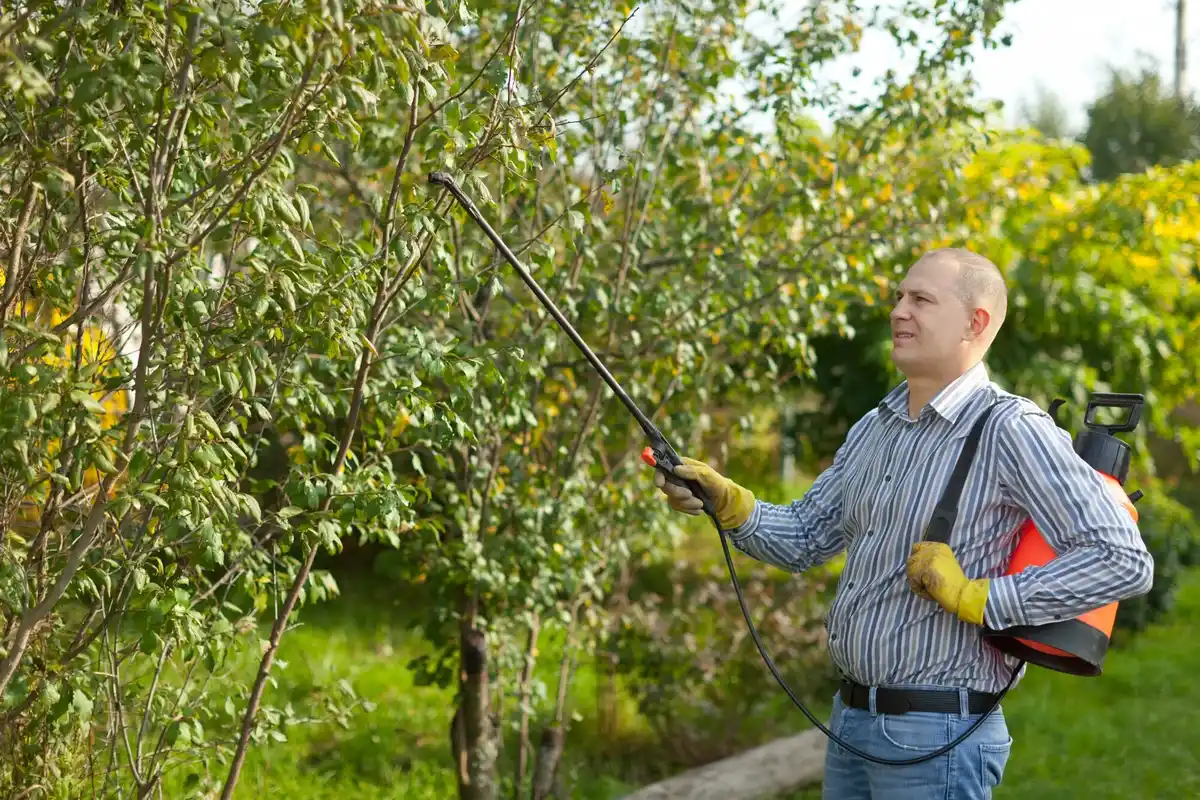 garden pest control organic Czech Republic