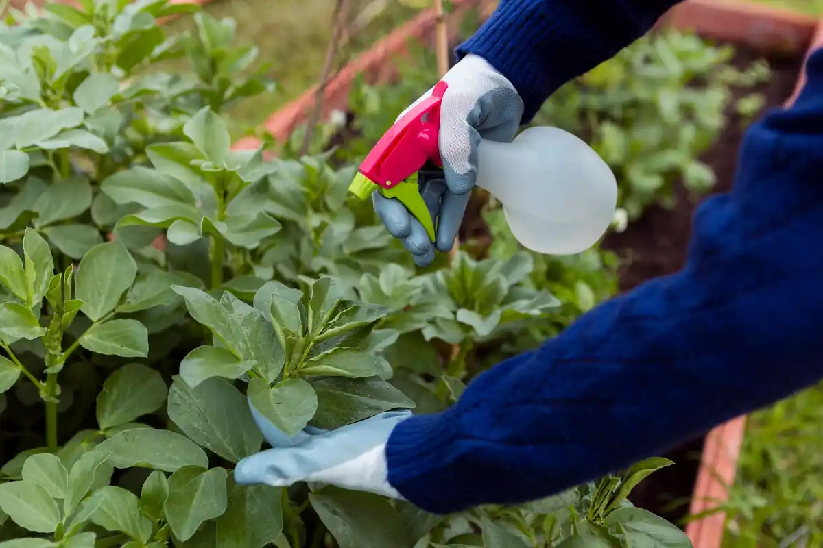 organic pest control garden Czech Republic