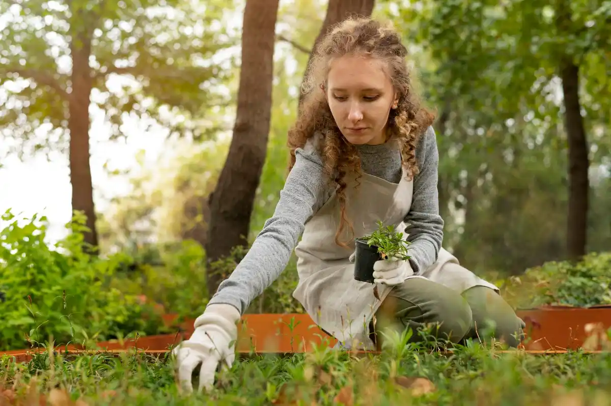 garden plant disease early signs prevention