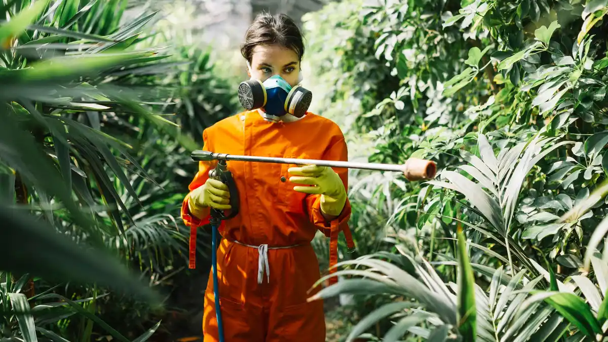 plant protection garden pests prevention
