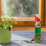 natural pest control garden herbs home remedies