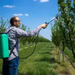 organic garden pest control sustainable