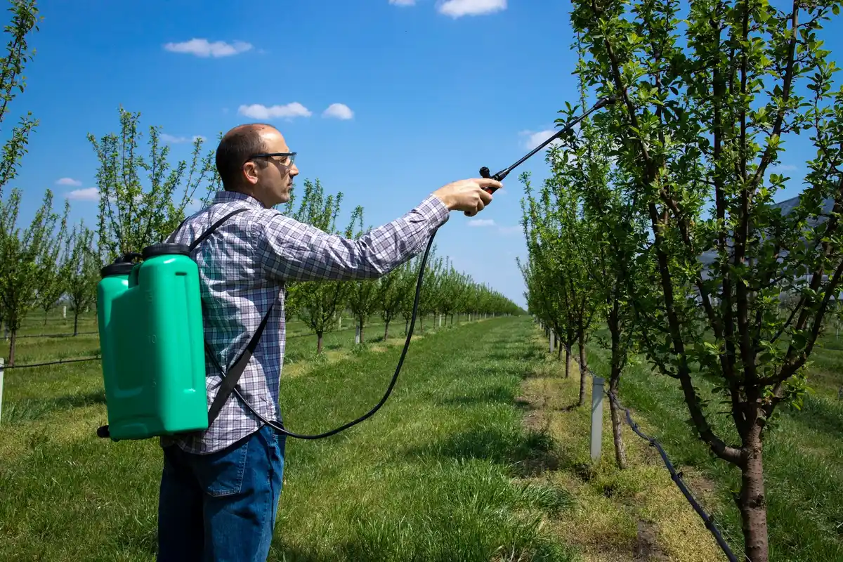 organic garden pest control sustainable