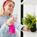 indoor plants care mistakes