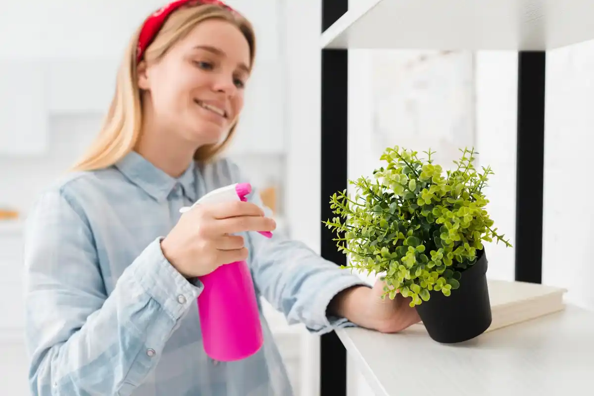 indoor plants care mistakes