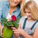 balkon flower boxes care
