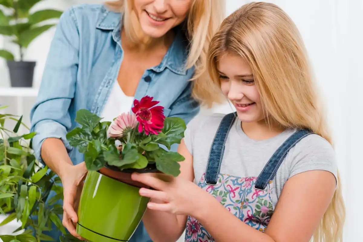 balkon flower boxes care