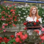 balcony flowers selection