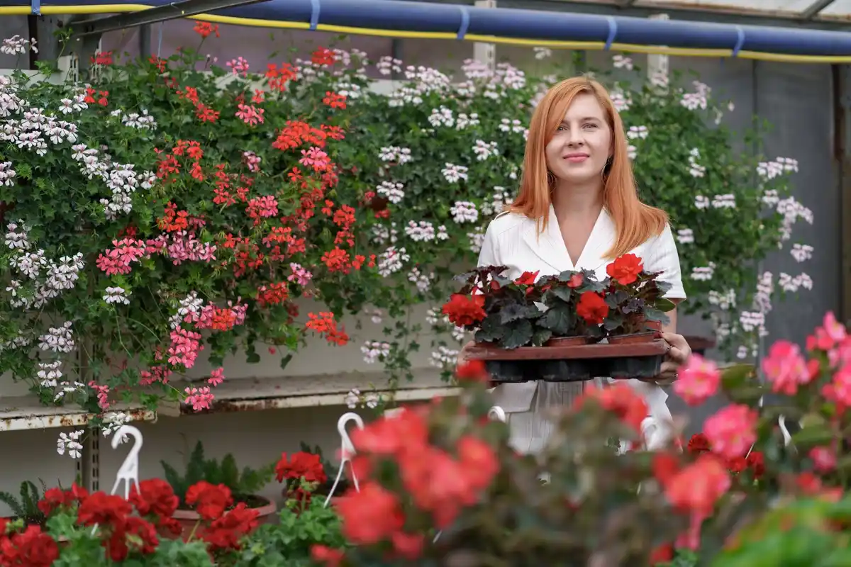 balcony flowers selection