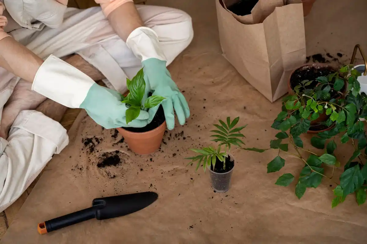 organic gardening mistakes garden soil ecology