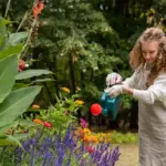 sustainable garden Czech Republic home gardening