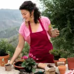 urban balcony vegetable gardening tips