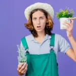 herbs in pots gardening mistakes