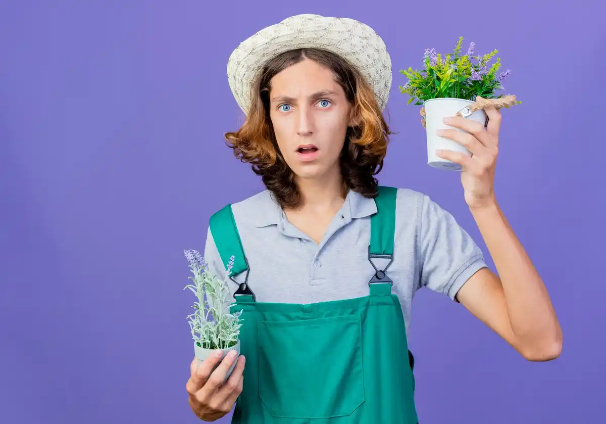herbs in pots gardening mistakes