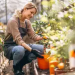 balkon vegetable garden small space