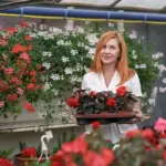 small balcony container gardening plants