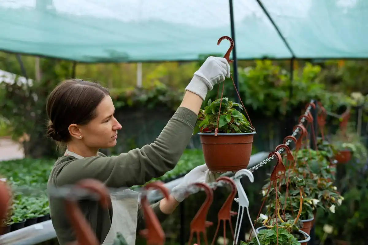 vegetable gardening in pots balcony urban