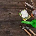 organic home garden composting nature