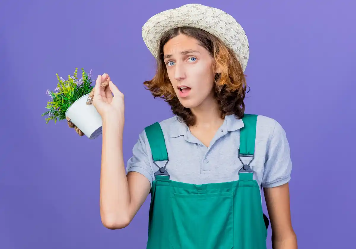 organic vegetable garden mistakes fix
