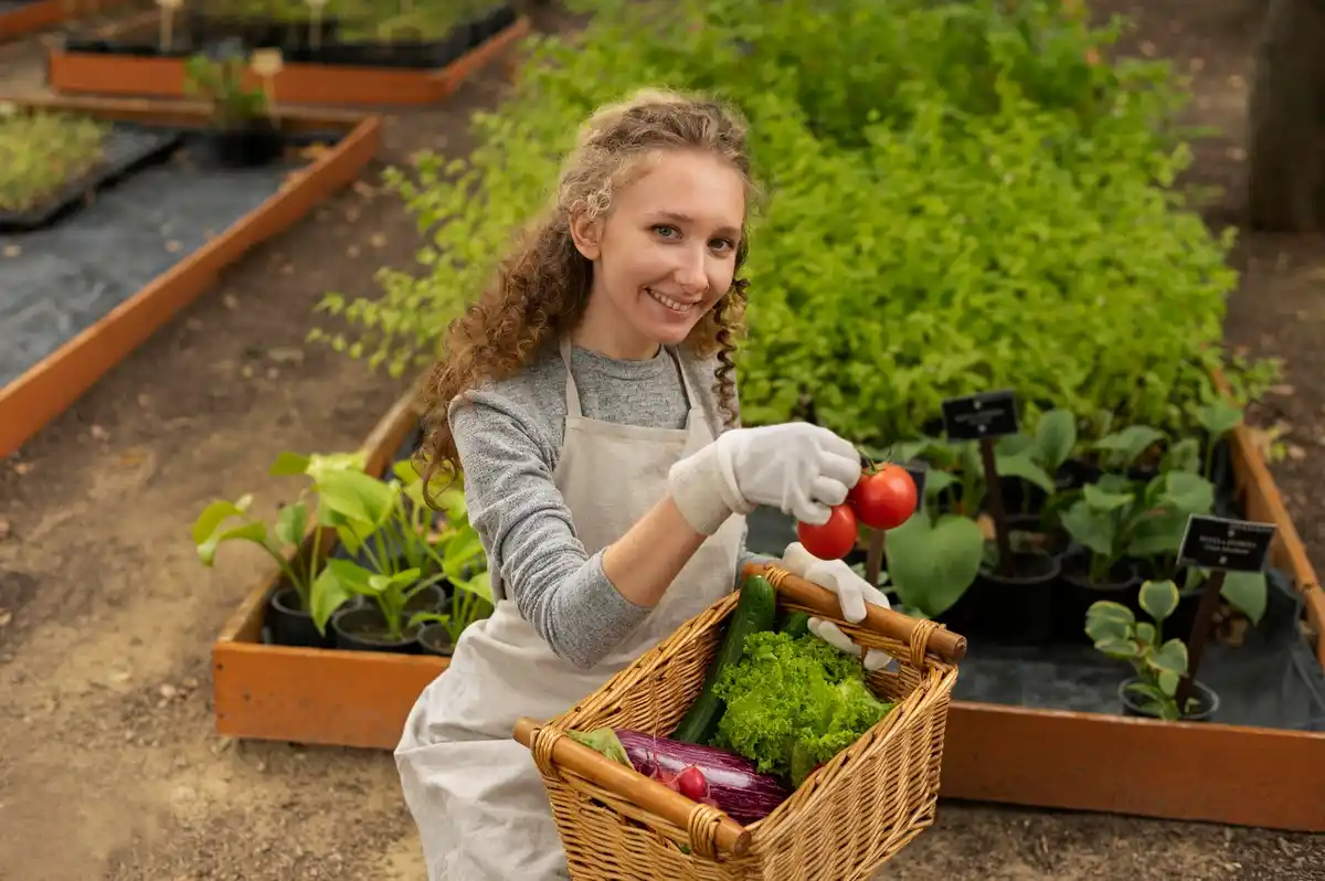 organic home vegetable garden Czech Republic