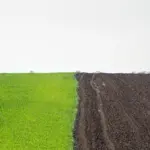 organic farming vs conventional farming field comparison