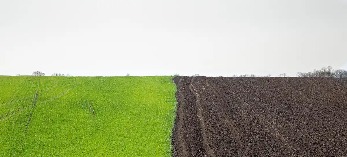 organic farming vs conventional farming field comparison