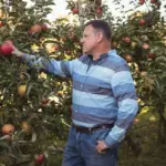 apple tree gardening backyard Czech Republic