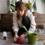 home fruit garden beginners