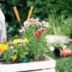 beautiful garden soil healthy plants