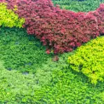 small urban garden vertical planting creative design