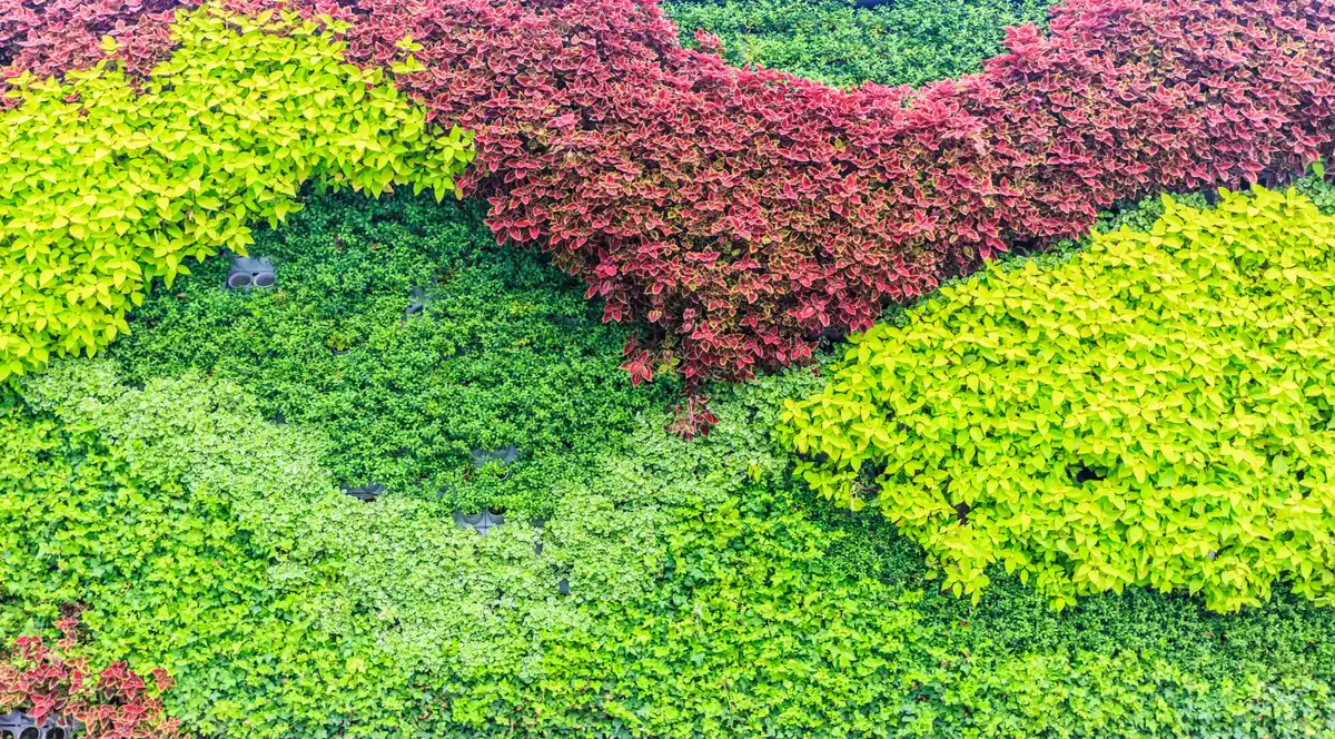 small urban garden vertical planting creative design