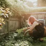 home backyard fruit orchard trees harvest gardening