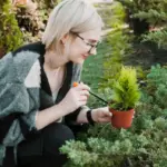 garden design mistakes outdoor plants planning